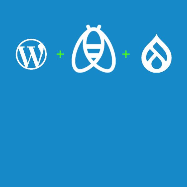 Plugin Apidaé - visuel carré