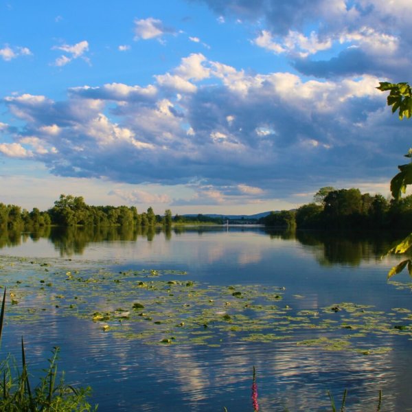Office Tourisme Val de Saône Centre