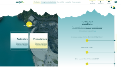 Image d'un écran de la page d'accueil du site web EDSB