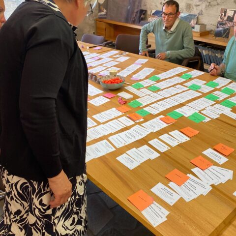 Une utilisatrice trie le contenu du futur site EDSB